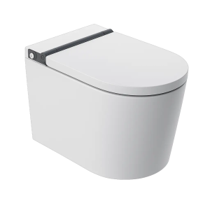 Wall-hung Smart Toilets