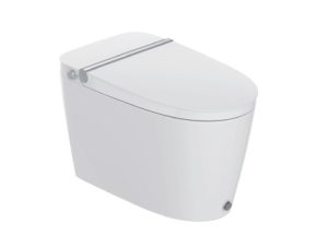 Tankless Smart Toilets